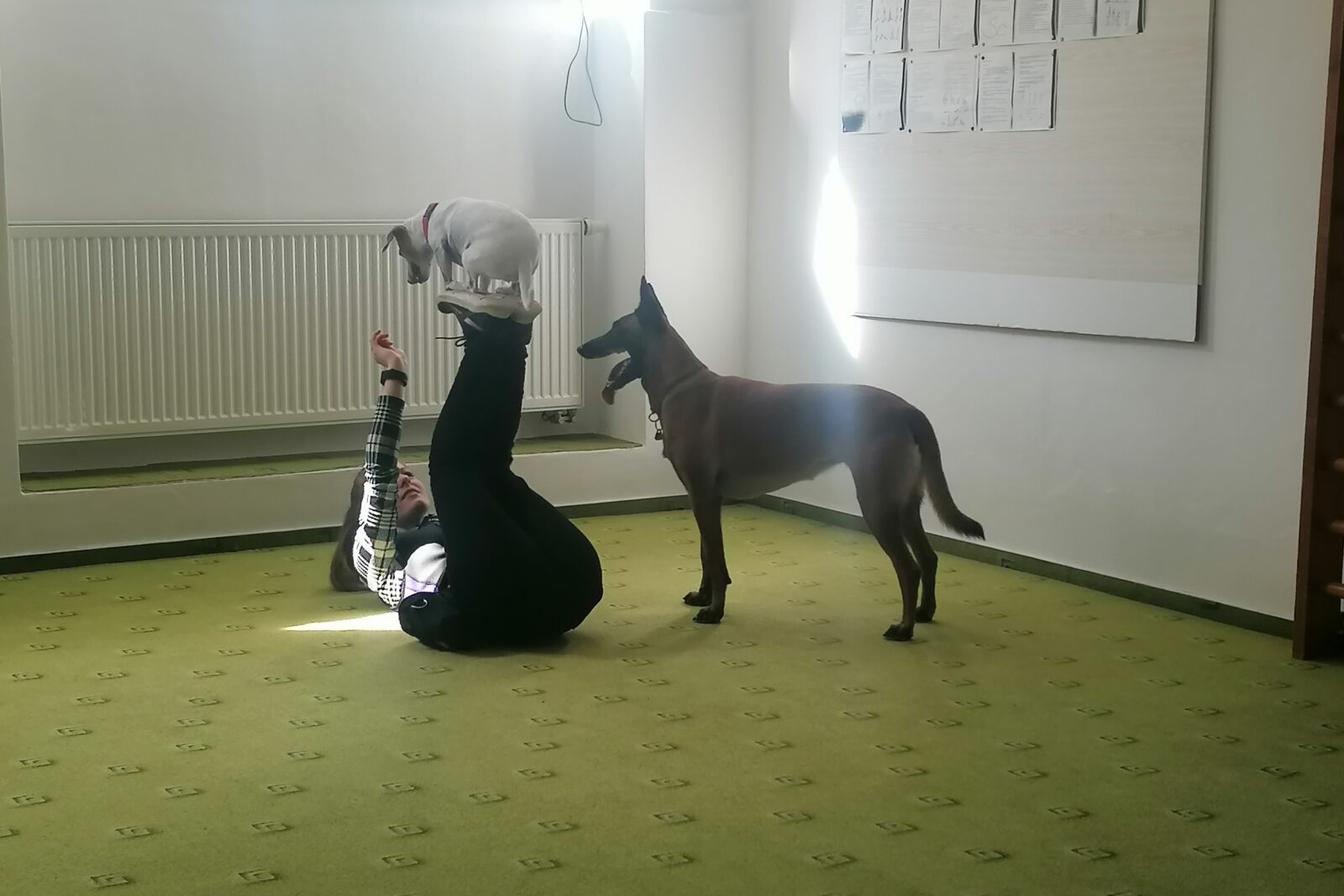 Projektový den v MŠ: "AGILITY" :-)