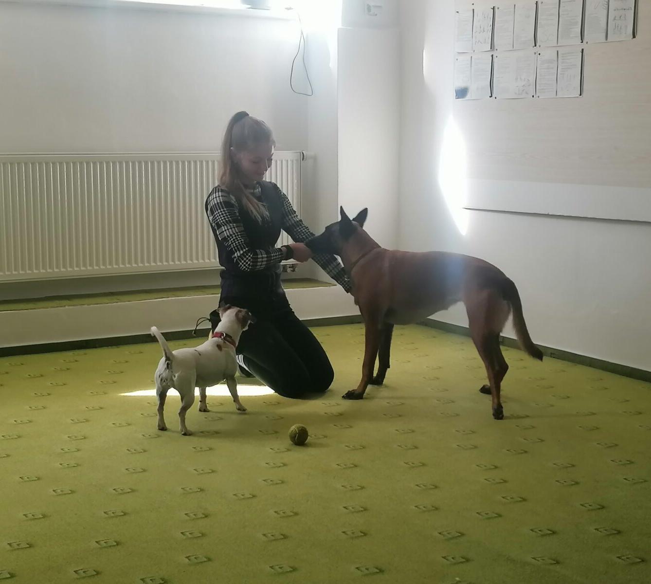 Projektový den v MŠ: "AGILITY" :-) - 2