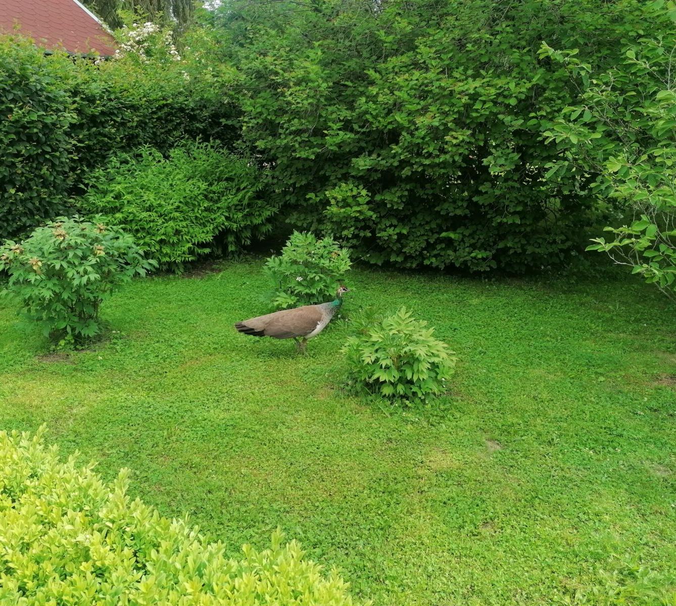 Výlet do Častolovic I. :-) - 33