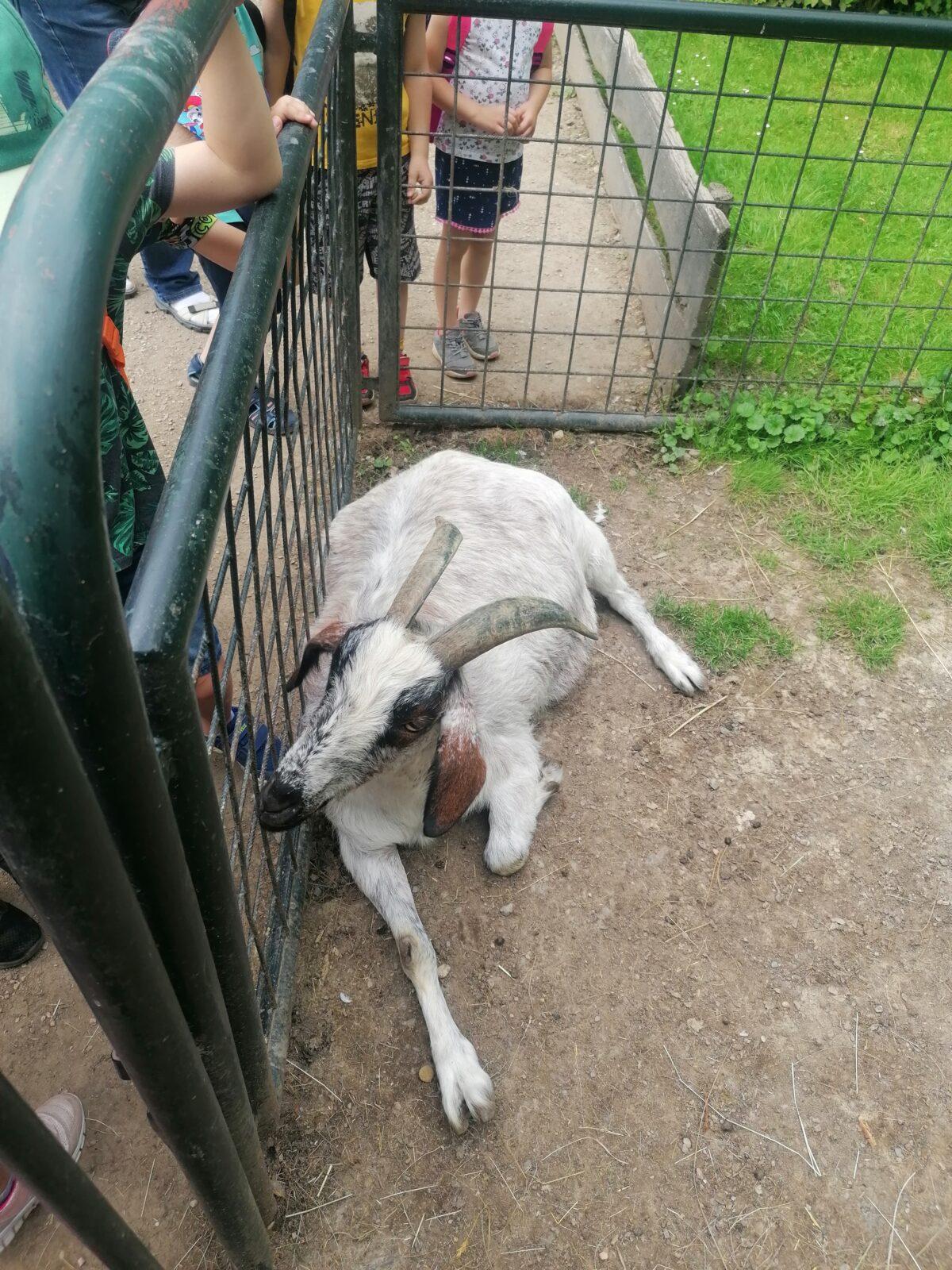 Výlet do Častolovic I. :-) - 37