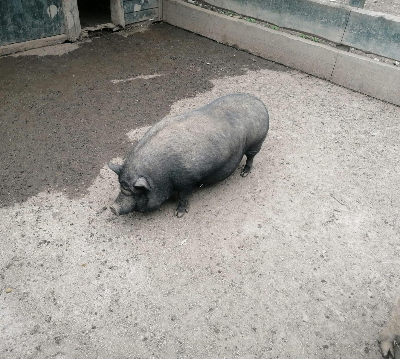 Výlet do Častolovic I. :-) - 40