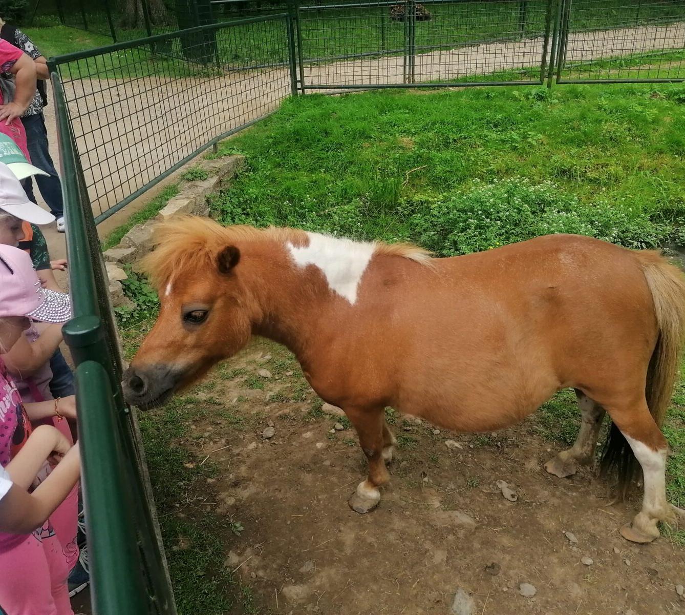 Výlet do Častolovic I. :-) - 50