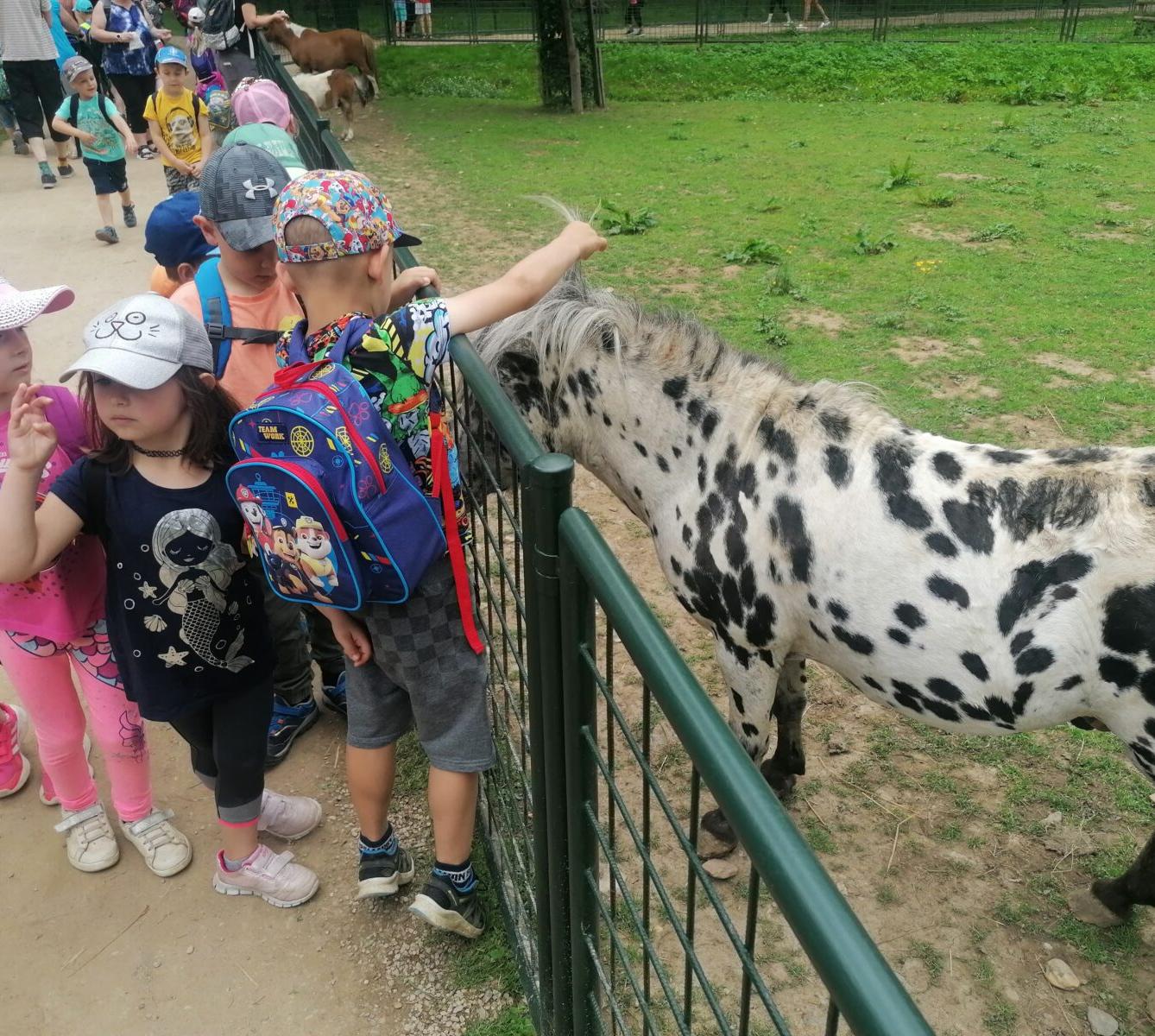 Výlet do Častolovic I. :-) - 53