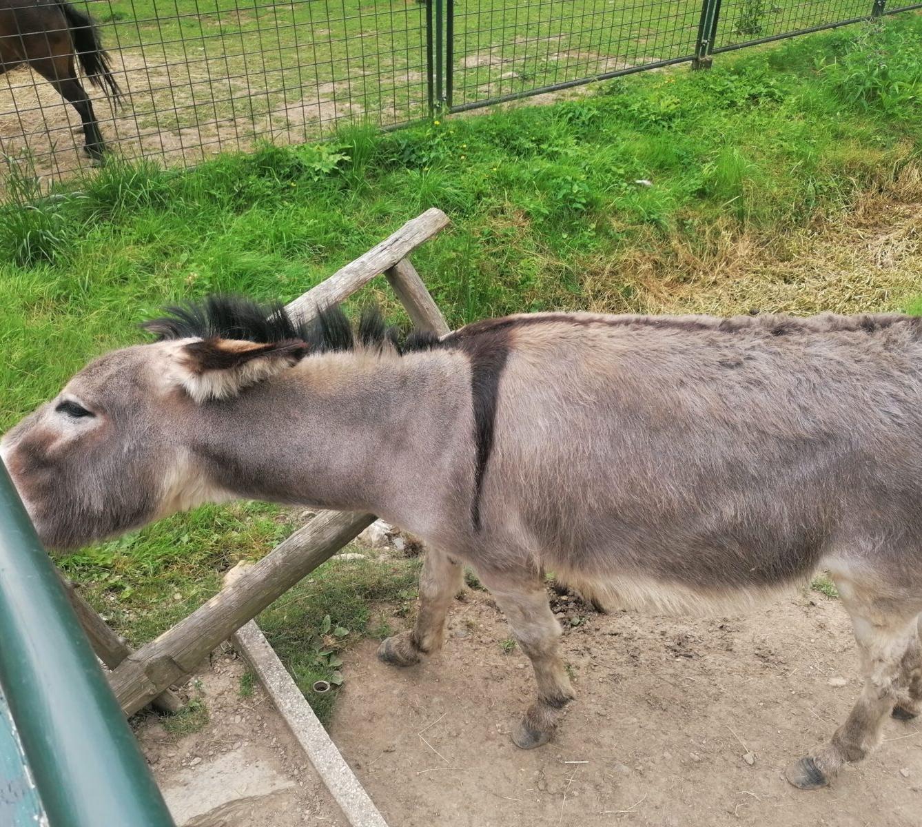 Výlet do Častolovic I. :-) - 54