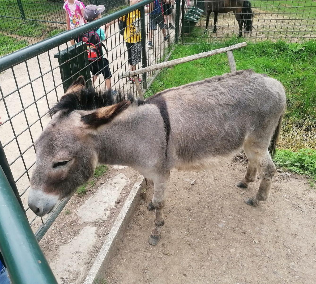 Výlet do Častolovic I. :-) - 57