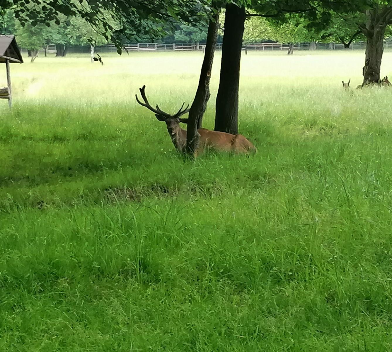 Výlet do Častolovic I. :-) - 59