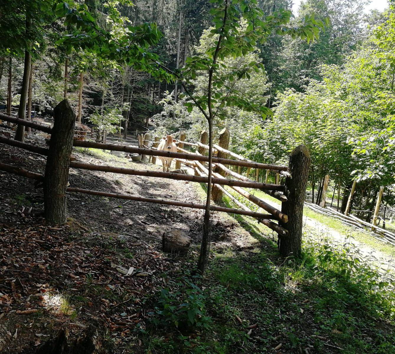 Dějepisná exkurze do pravěku - 6. A - 4