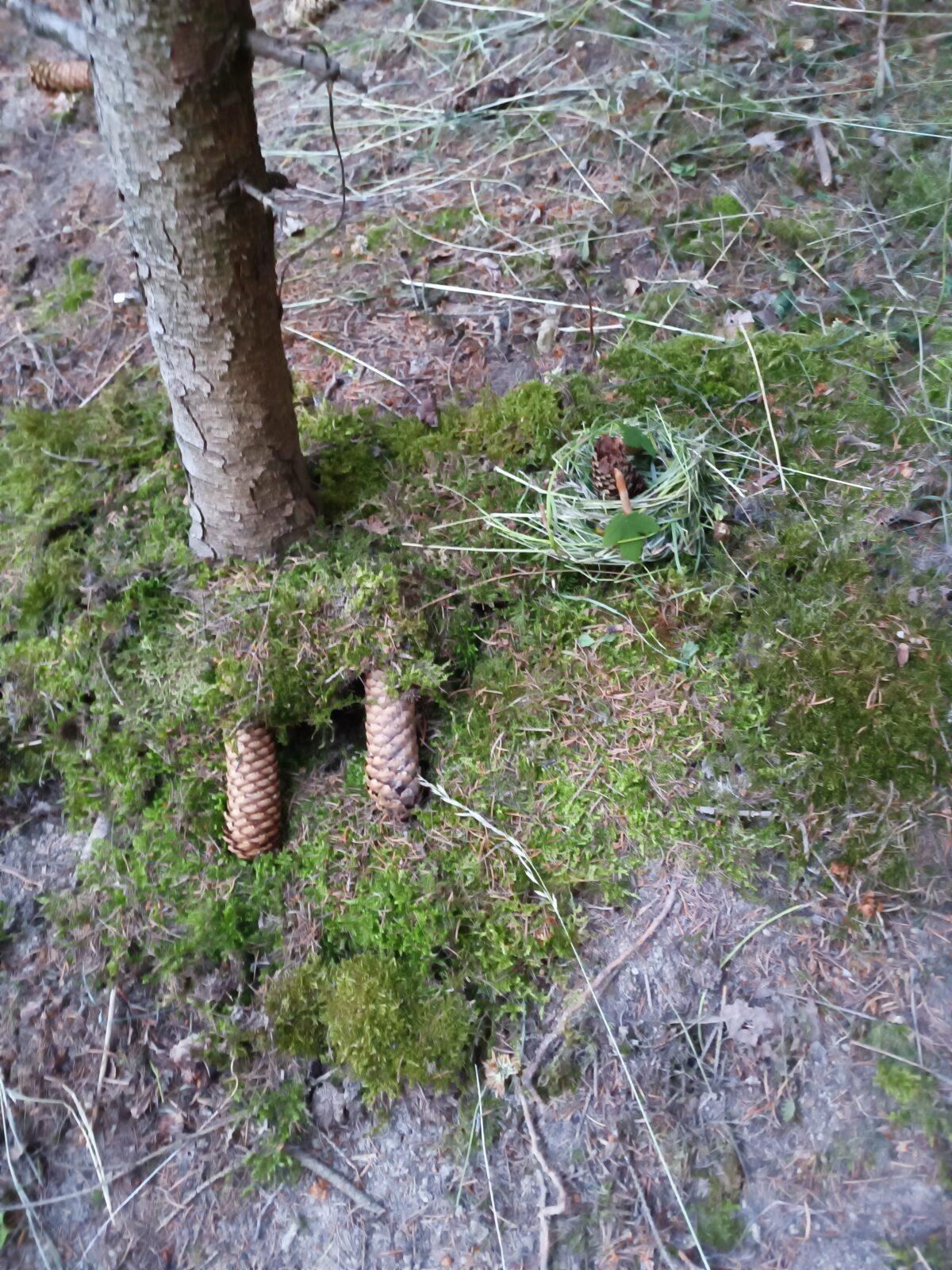 TLAPKY - spaní ve škole - 23