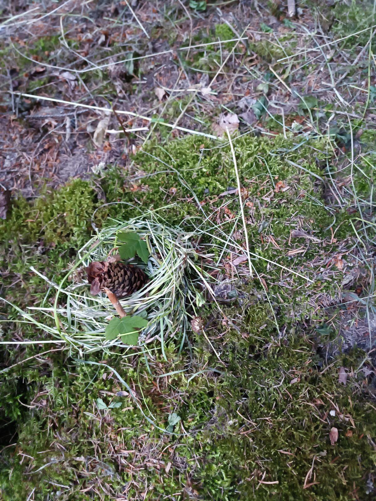 TLAPKY - spaní ve škole - 24