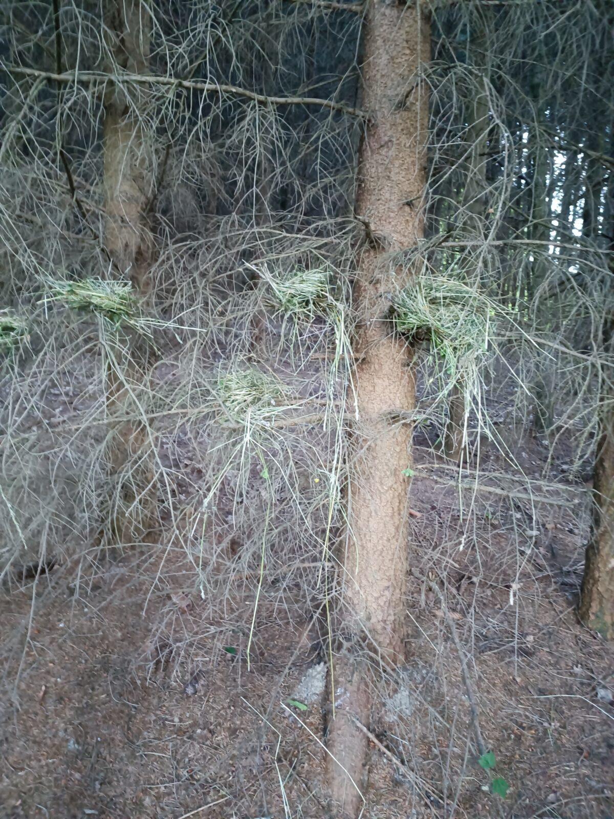 TLAPKY - spaní ve škole - 25