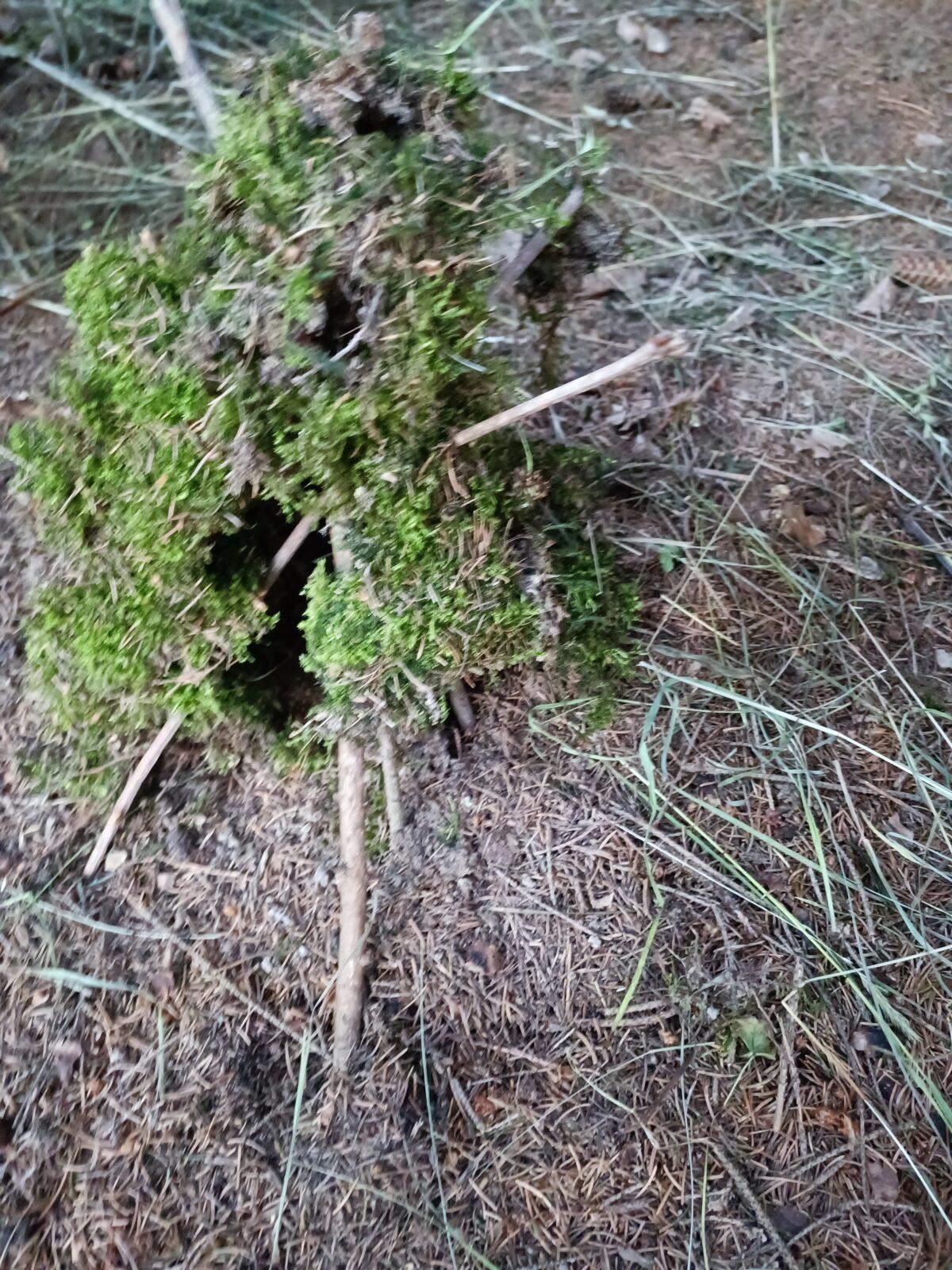 TLAPKY - spaní ve škole - 26