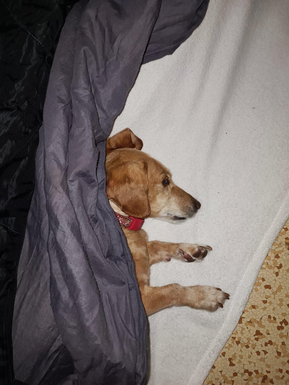 TLAPKY - spaní ve škole - 96