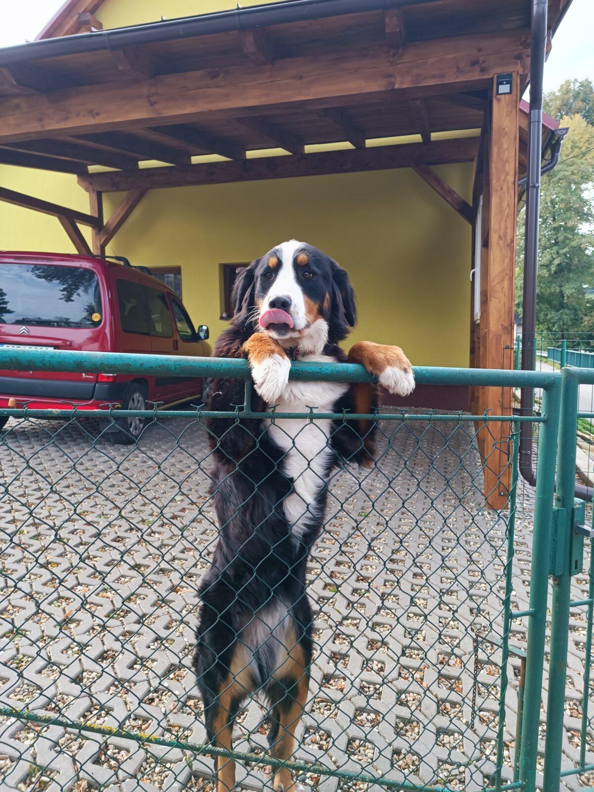 TLAPKY 2 - 1. výprava - 17