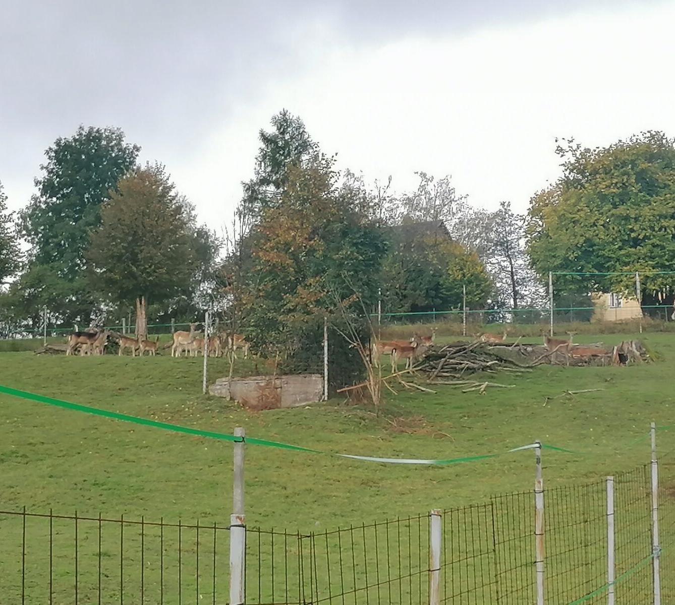 Broučci a jejich vycházky :-) - 9