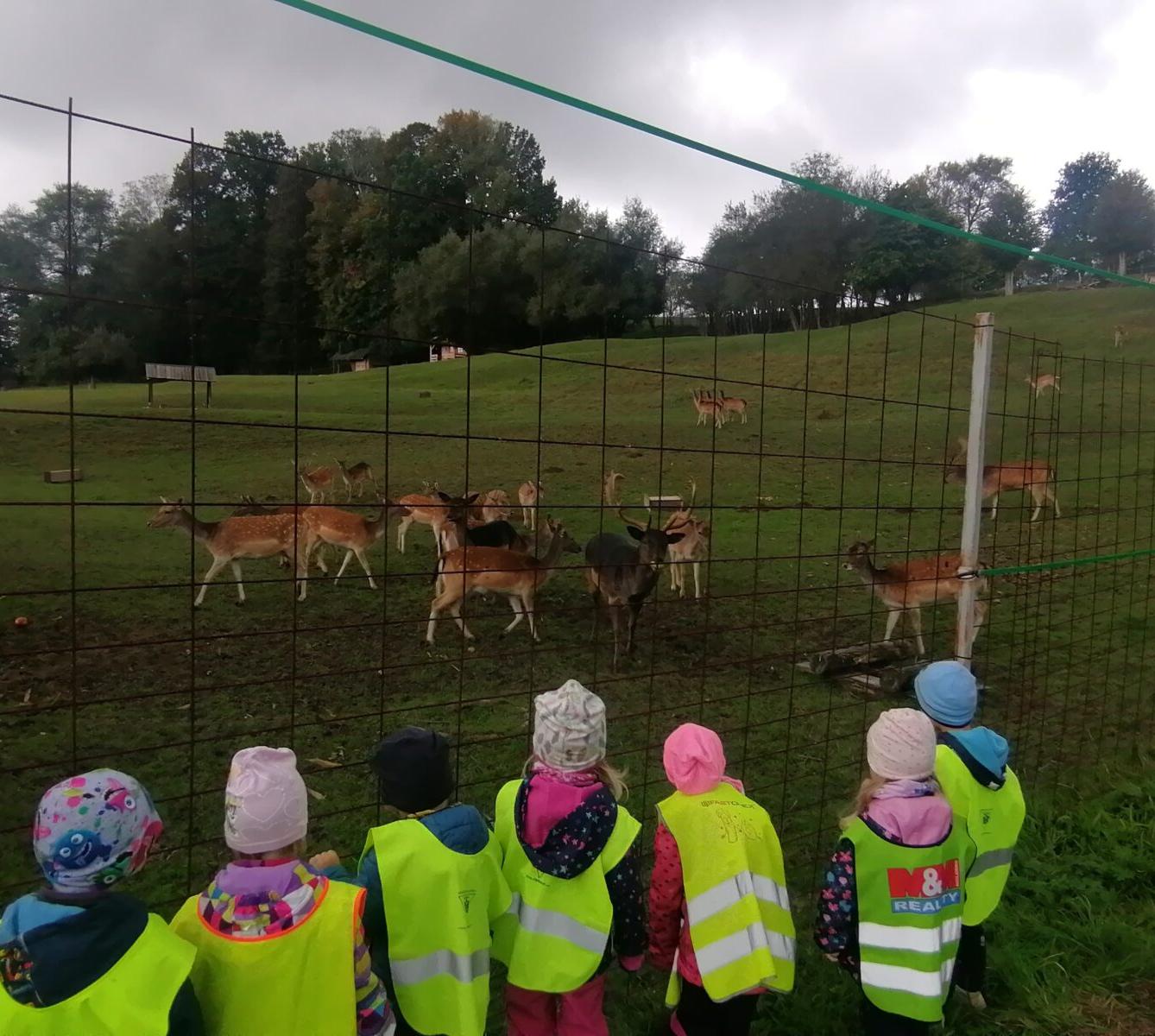 Broučci a jejich vycházky :-) - 14