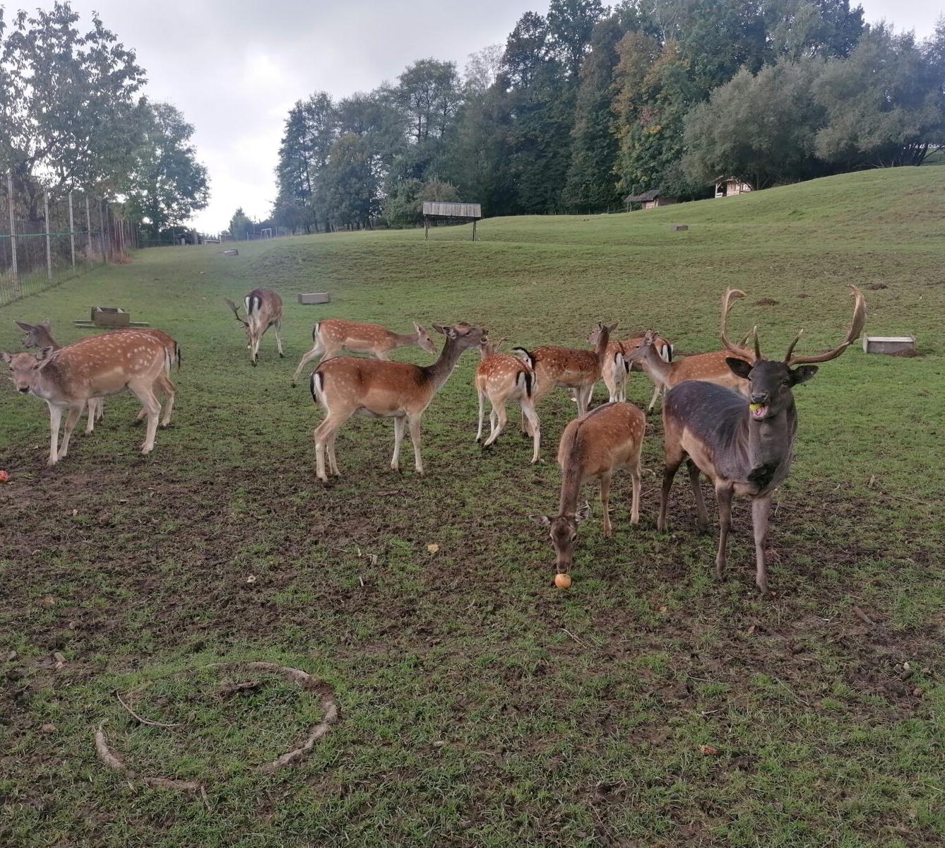 Broučci a jejich vycházky :-) - 16