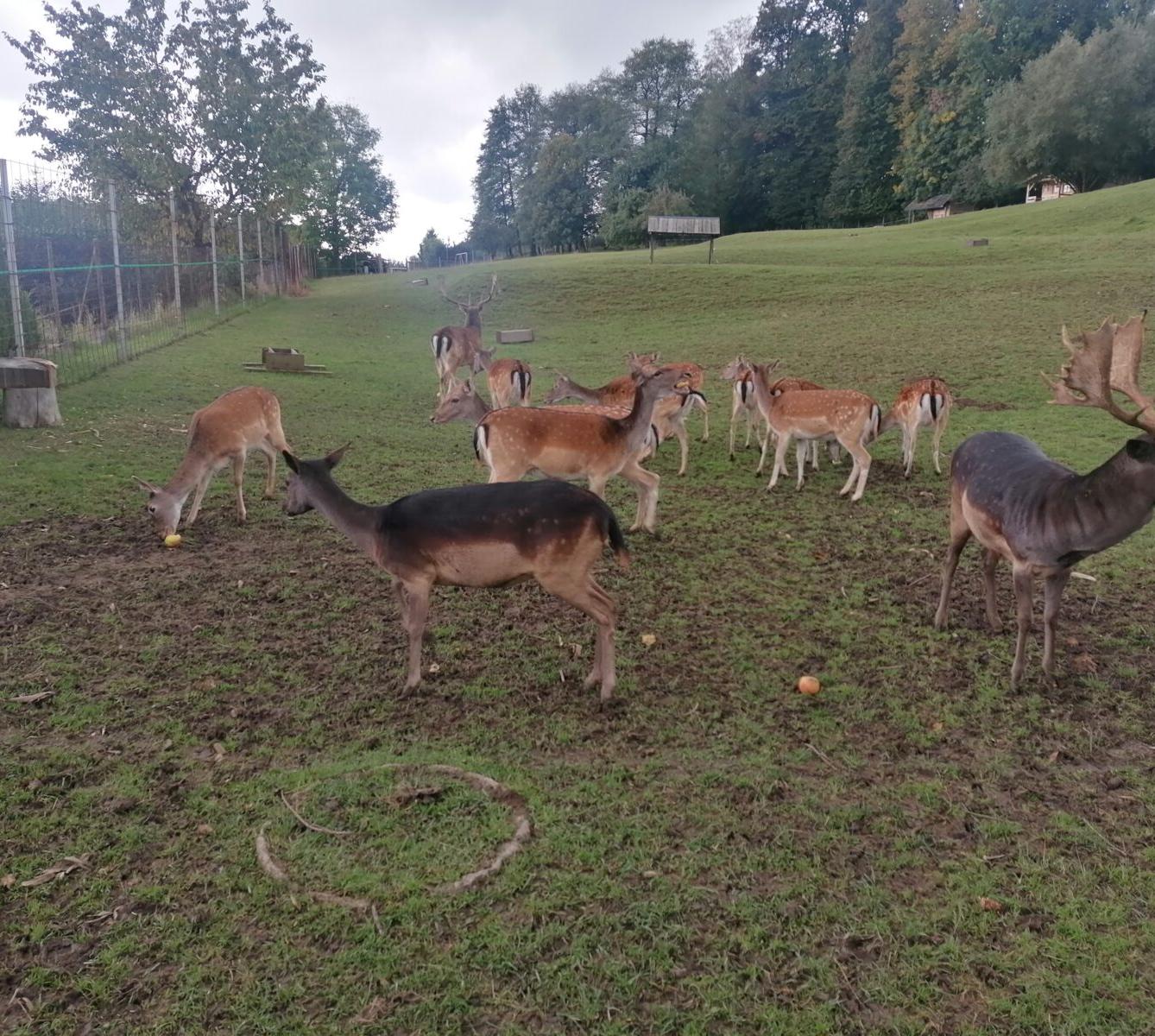 Broučci a jejich vycházky :-) - 17