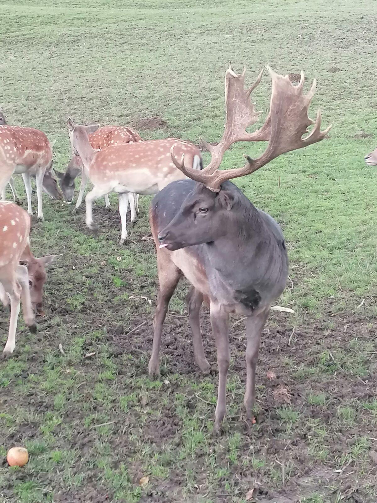 Broučci a jejich vycházky :-) - 18