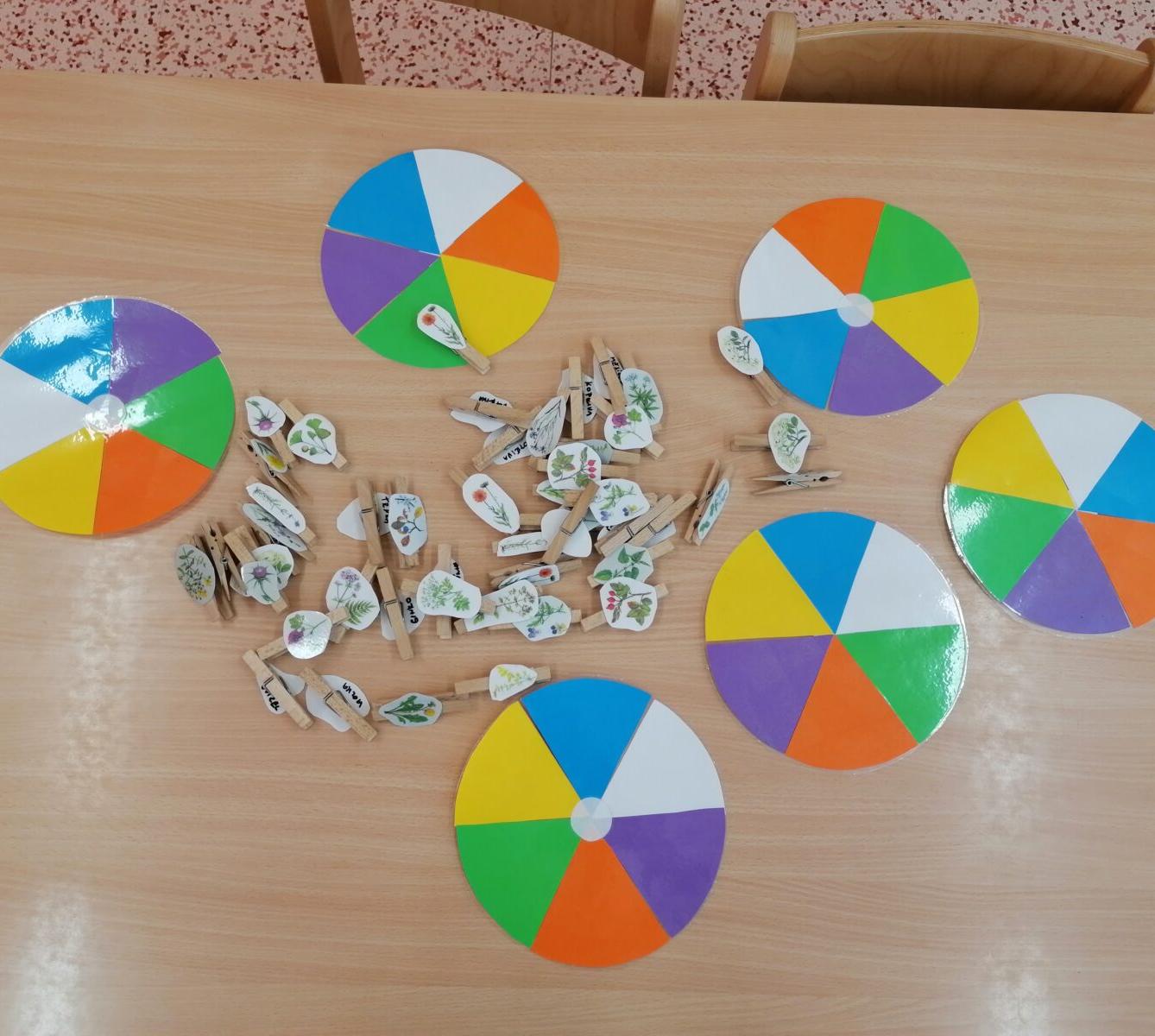 Vzdělávací program "bylinky" :-) - 4