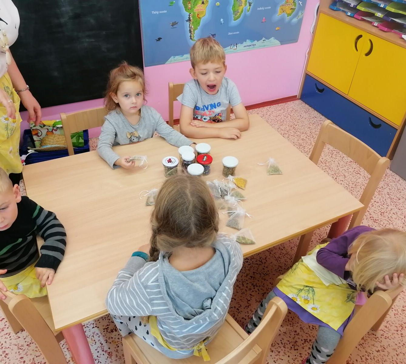 Vzdělávací program "bylinky" :-) - 29