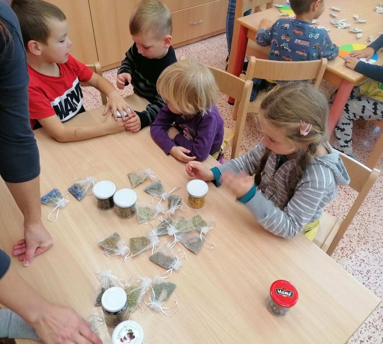 Vzdělávací program "bylinky" :-) - 39