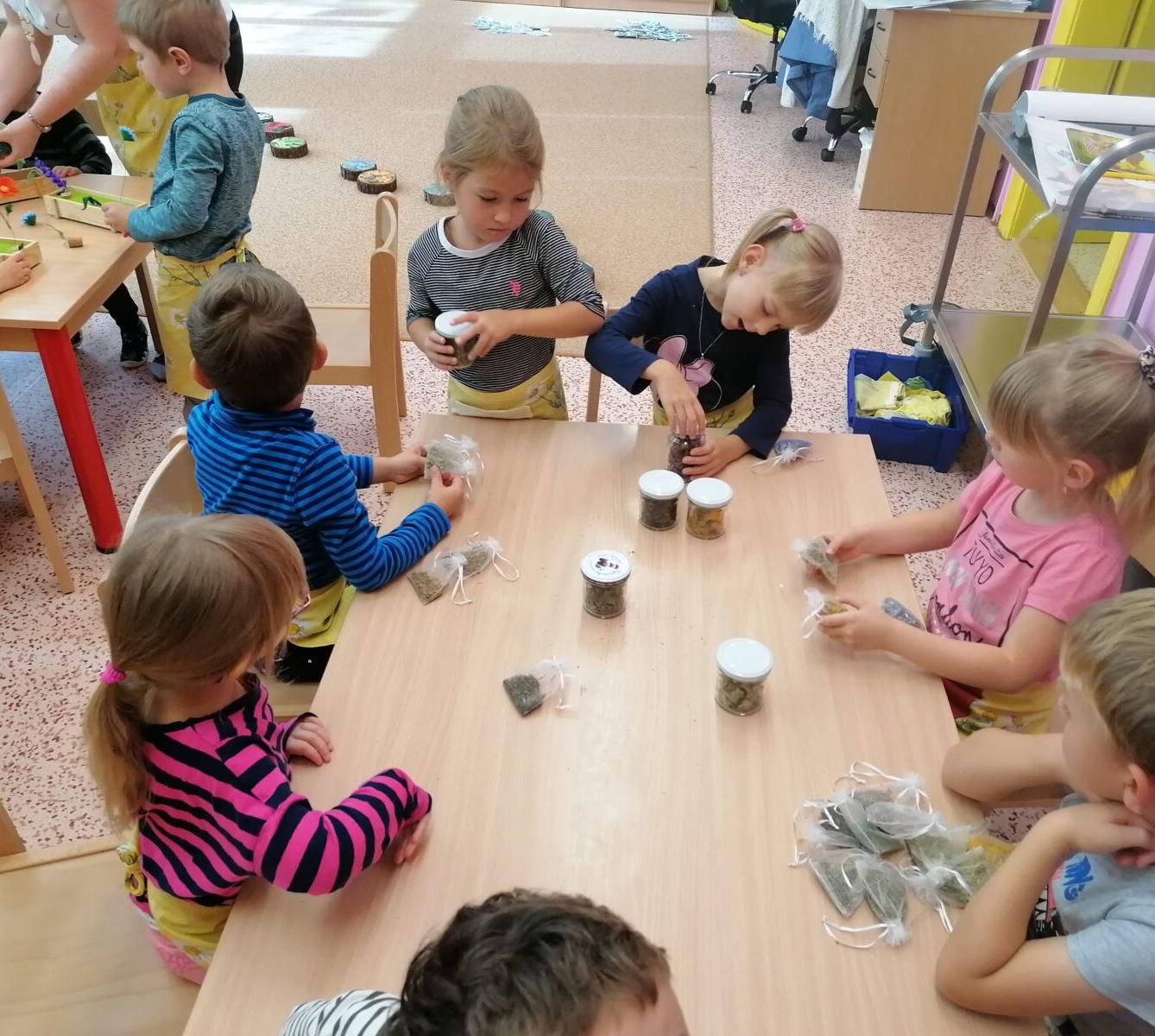 Vzdělávací program "bylinky" :-) - 60