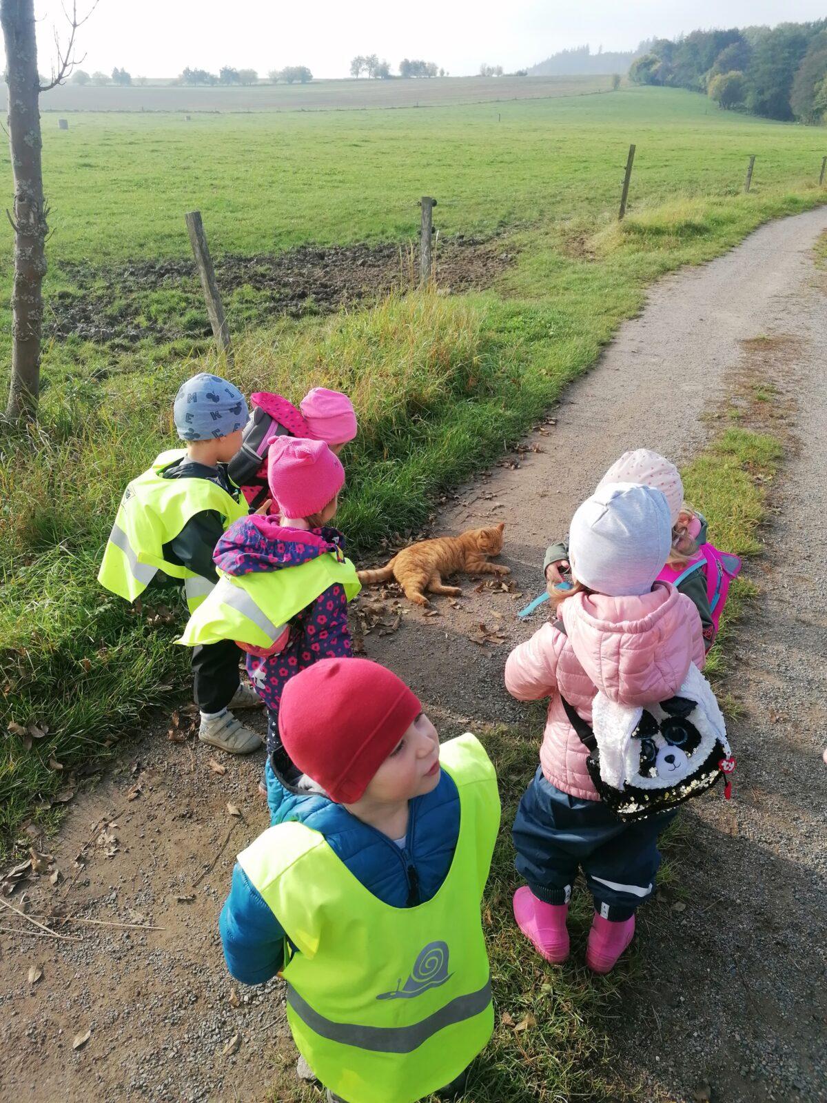 "Krteček nám schoval poklad" :-) - 13
