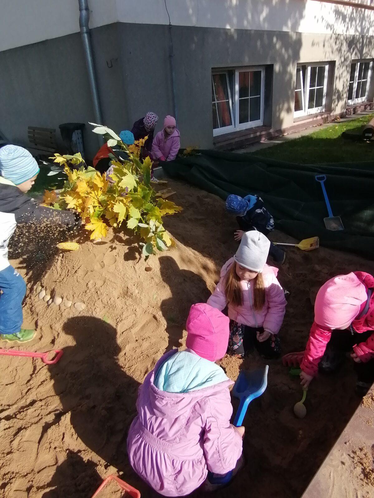 "Bramboriáda" :-) - 96