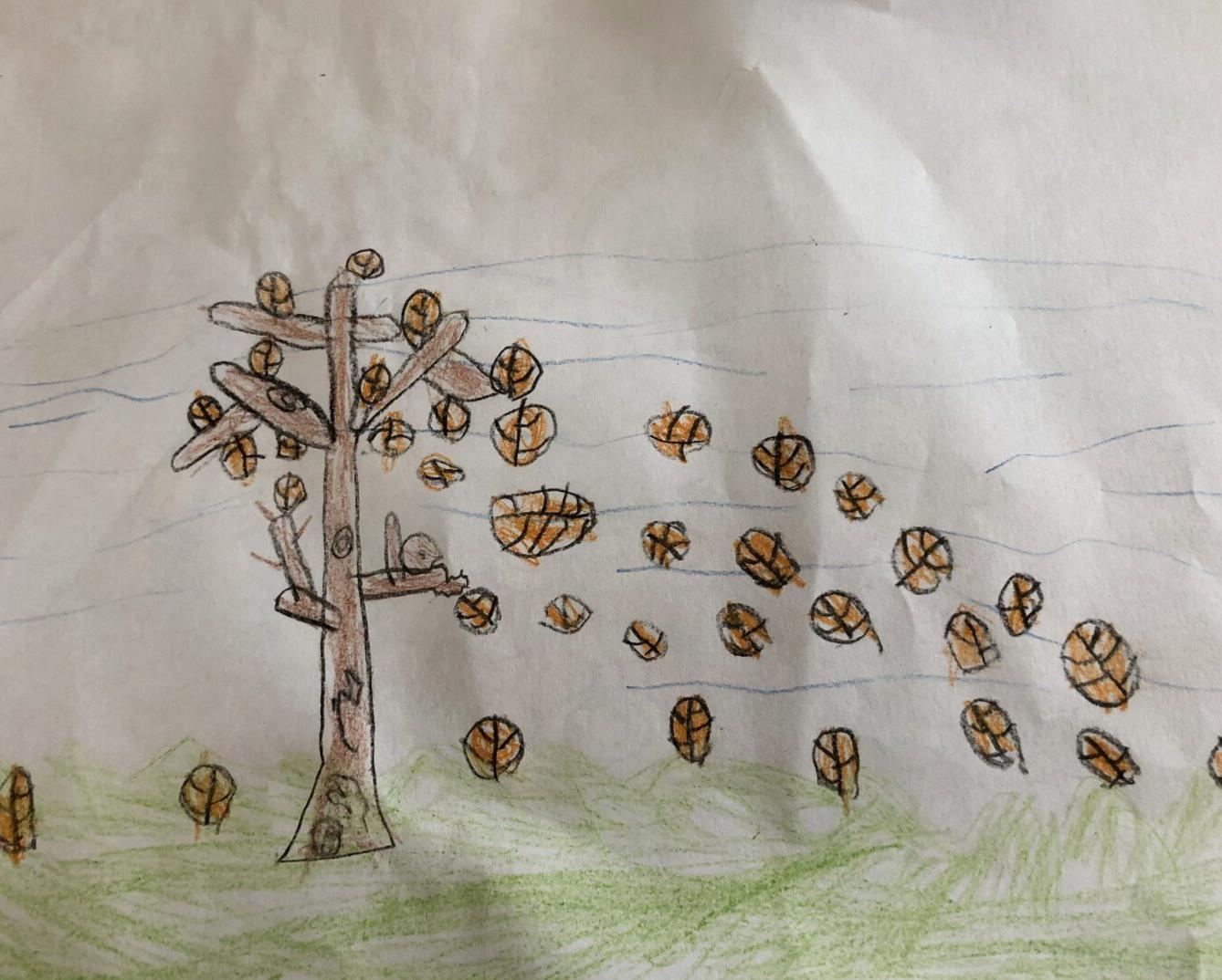 24. 10. Distanční výuka v 1. třídě - 49