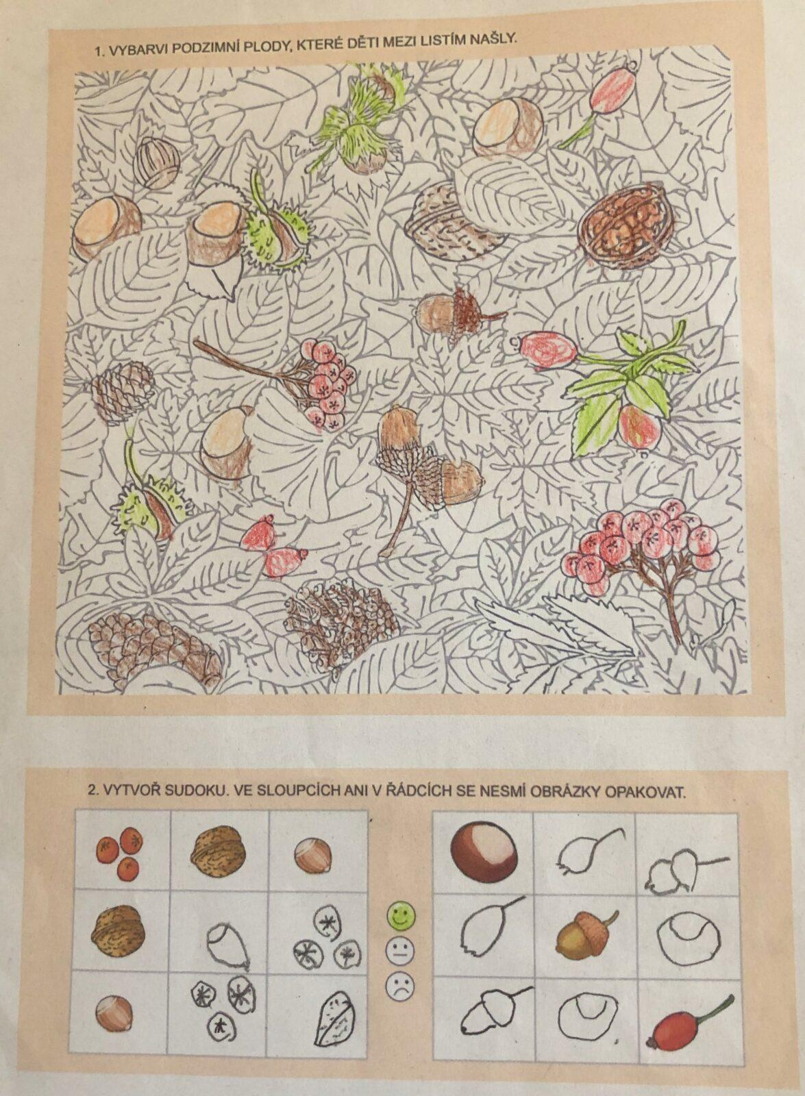 16. 11. distanční výuka v 1. třídě - 43