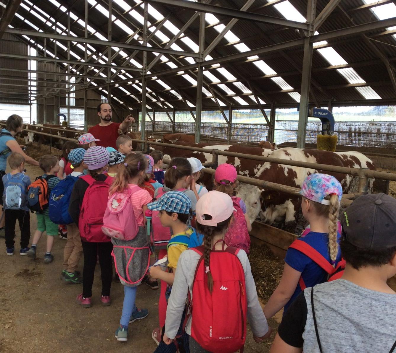 Den Země na 1. stupni ZŠ - 9