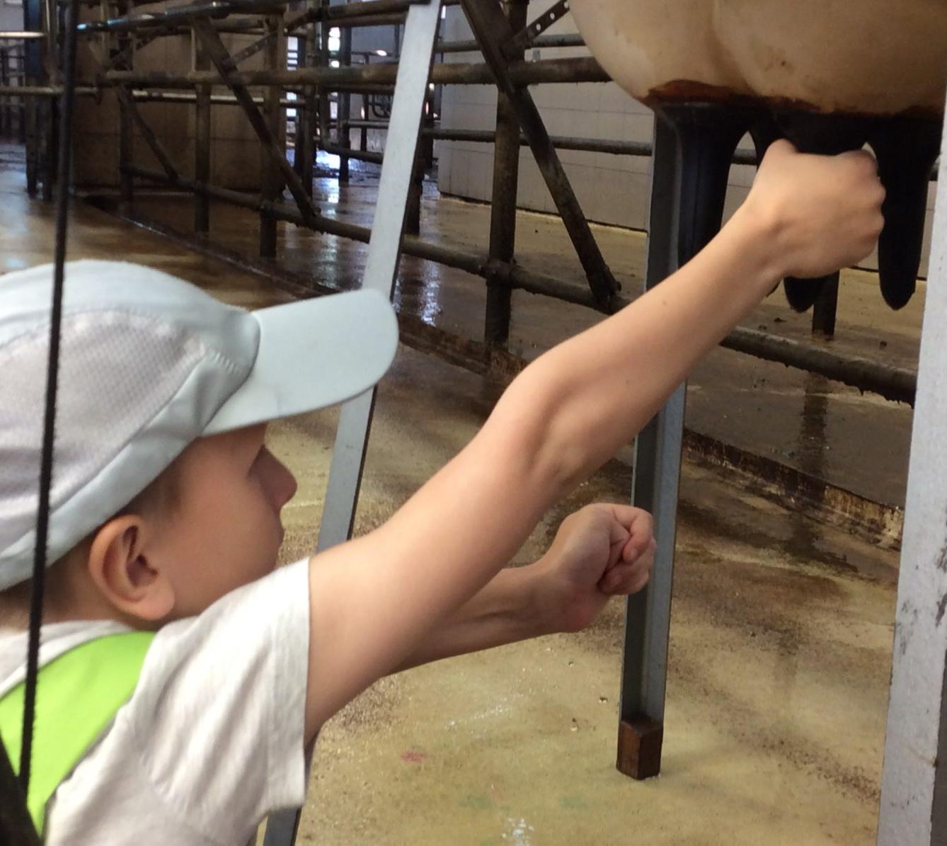 Den Země na 1. stupni ZŠ - 10