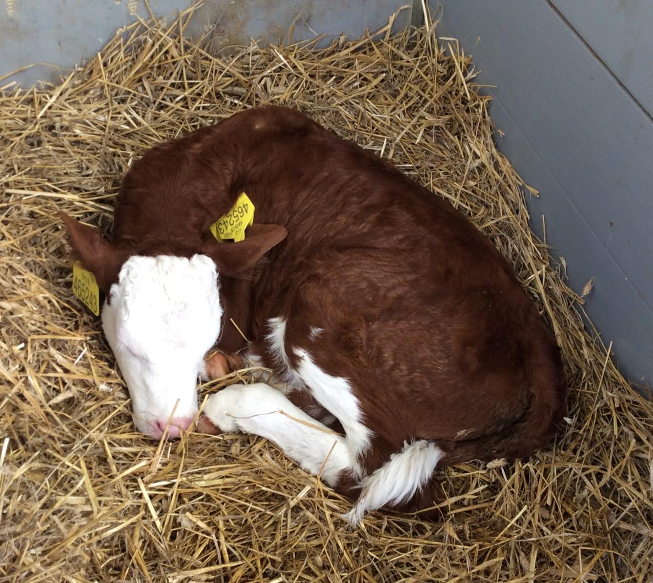 Den Země na 1. stupni ZŠ - 11