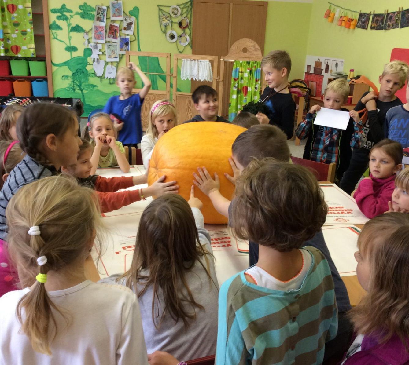 Začátek listopadu a střípky z konce října I. odd - 11