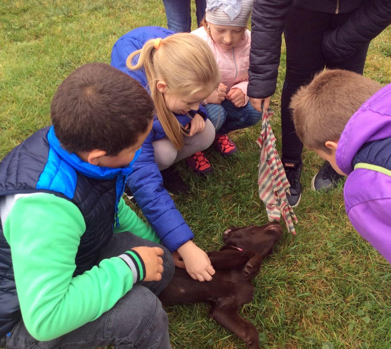 9. 10. Návštěva u Schauerů, 3. třída - 5