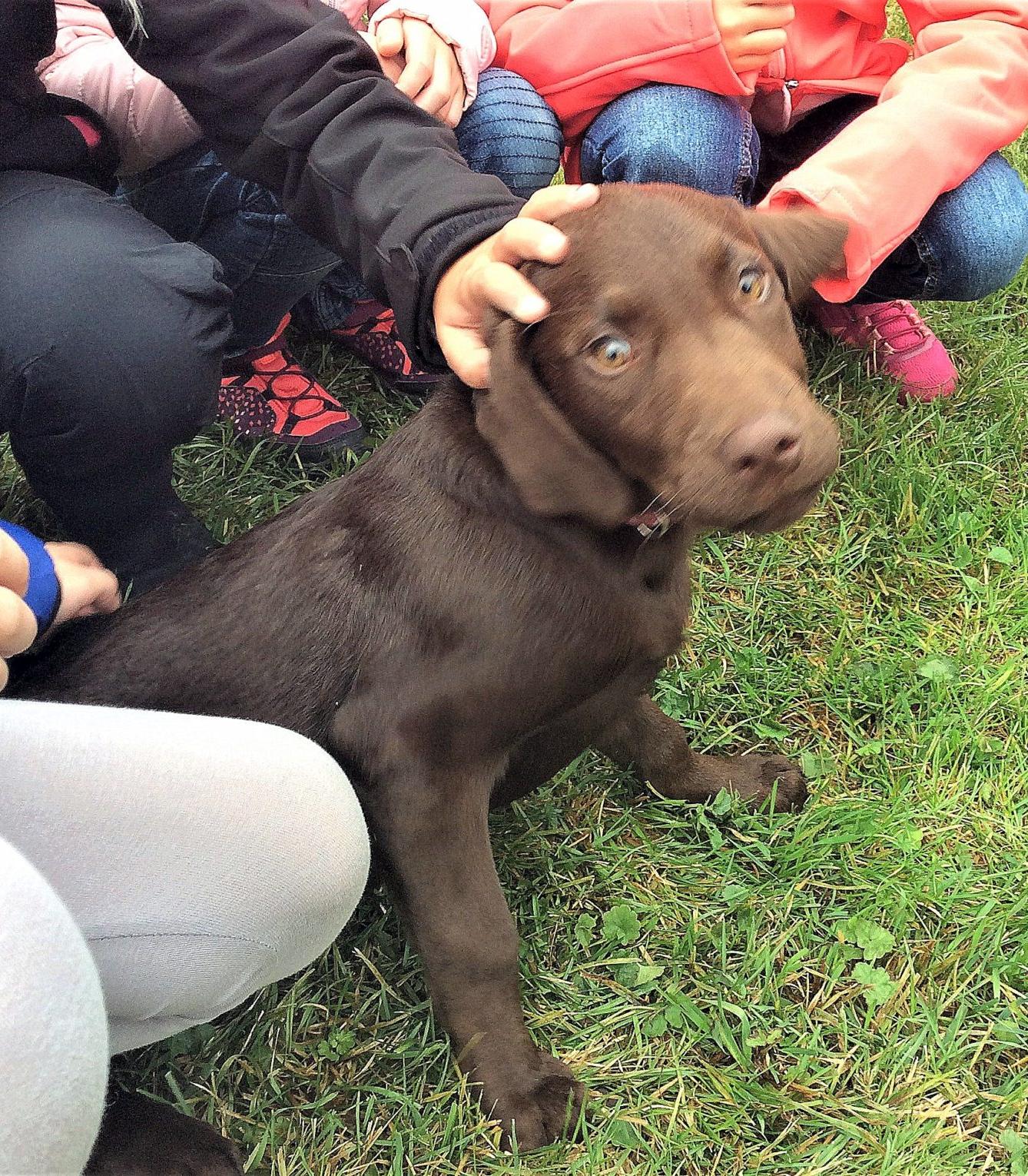 9. 10. Návštěva u Schauerů, 3. třída - 6