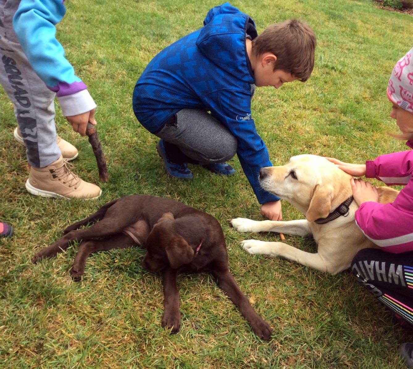 9. 10. Návštěva u Schauerů, 3. třída - 8