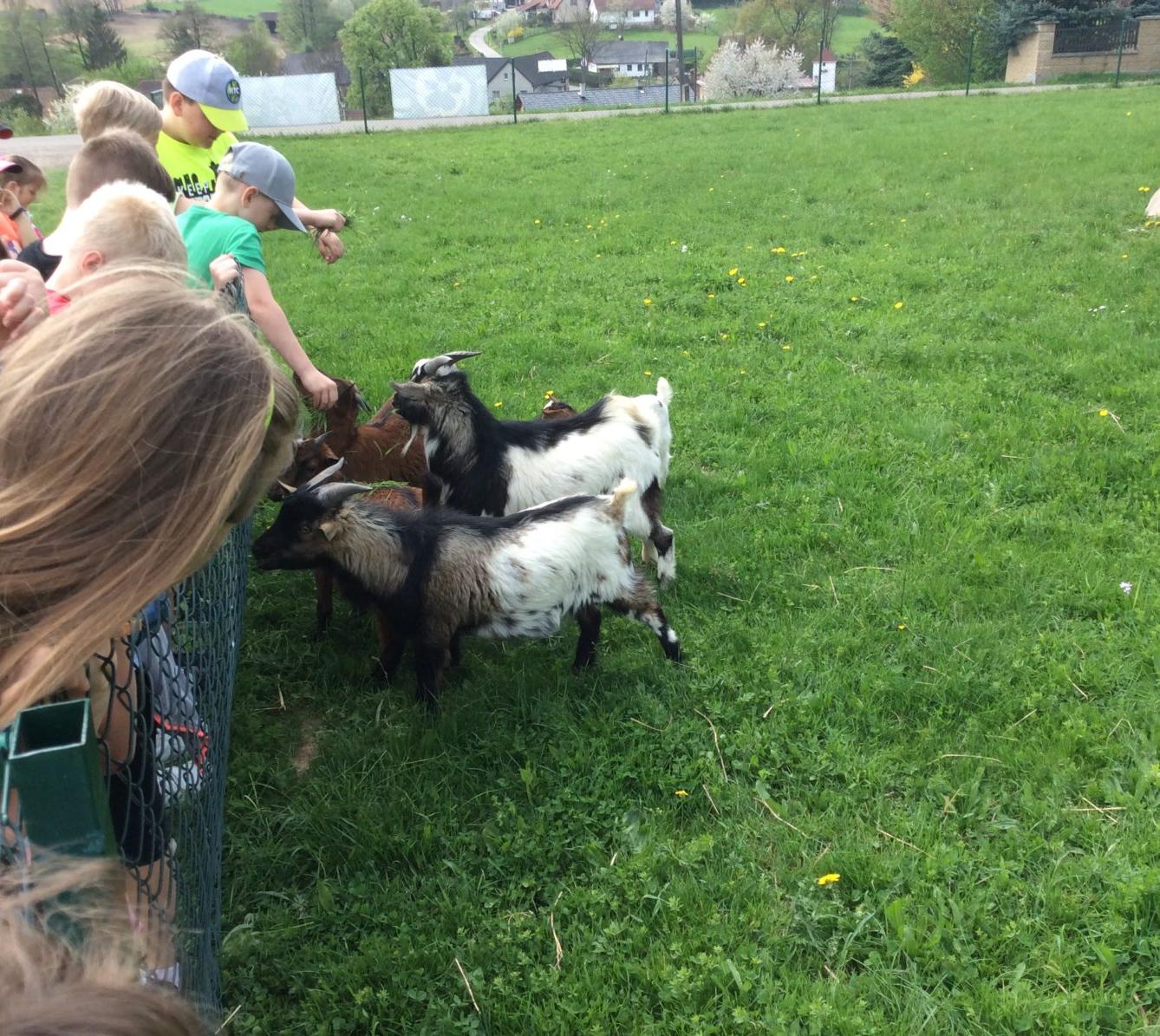 Duben v I. oddělení - 14