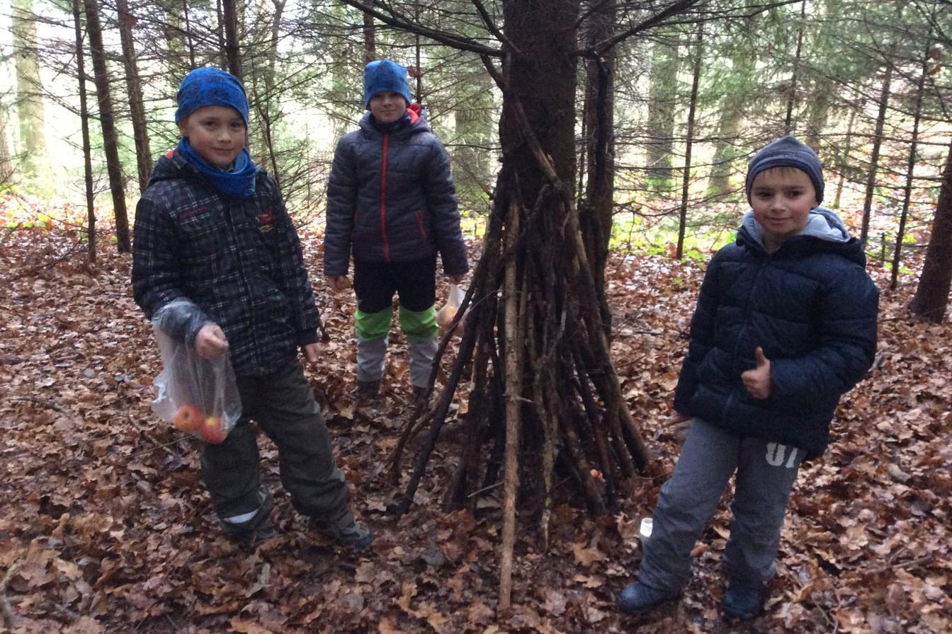 Vánoční les na 1. stupni