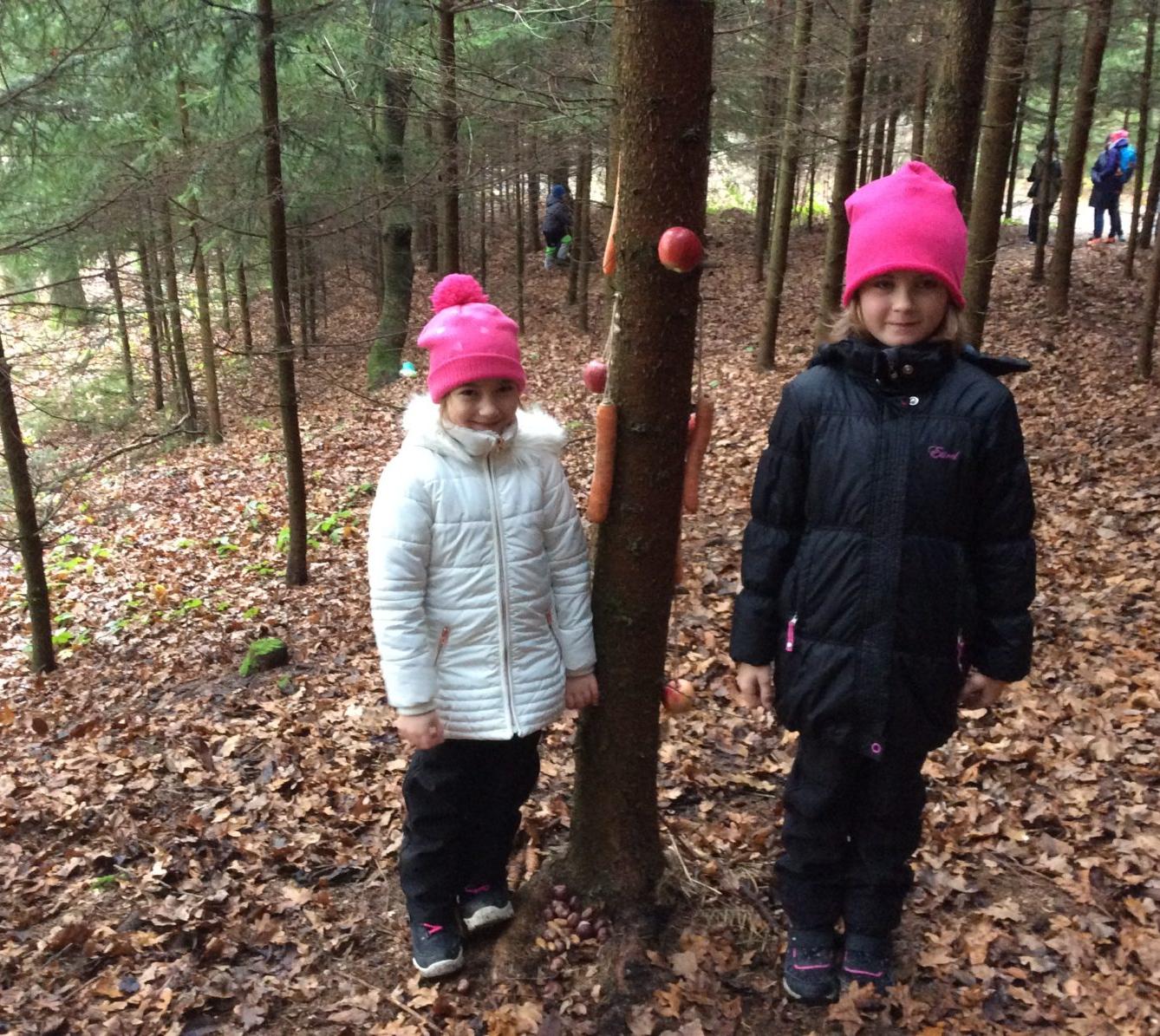 Vánoční les na 1. stupni - 2