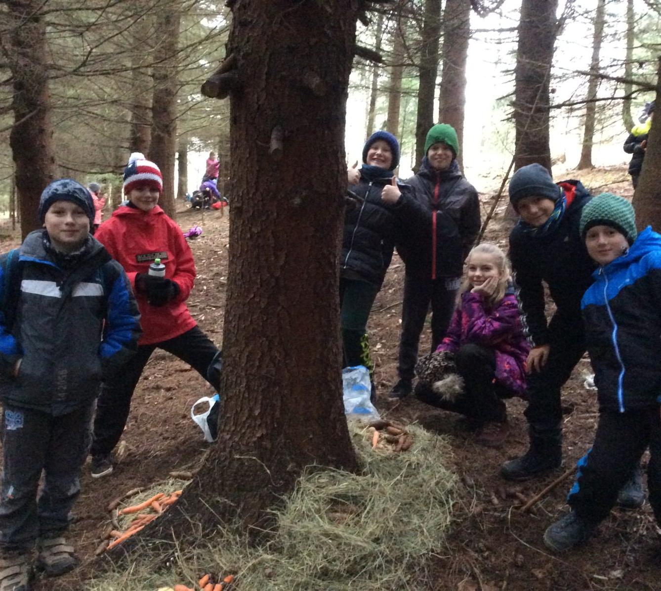 Vánoční les na 1. stupni - 8