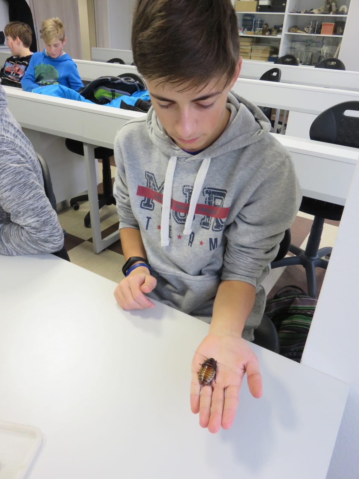 Klub zábavné logiky a deskových her na Univerzitě Hradec Králové - 33