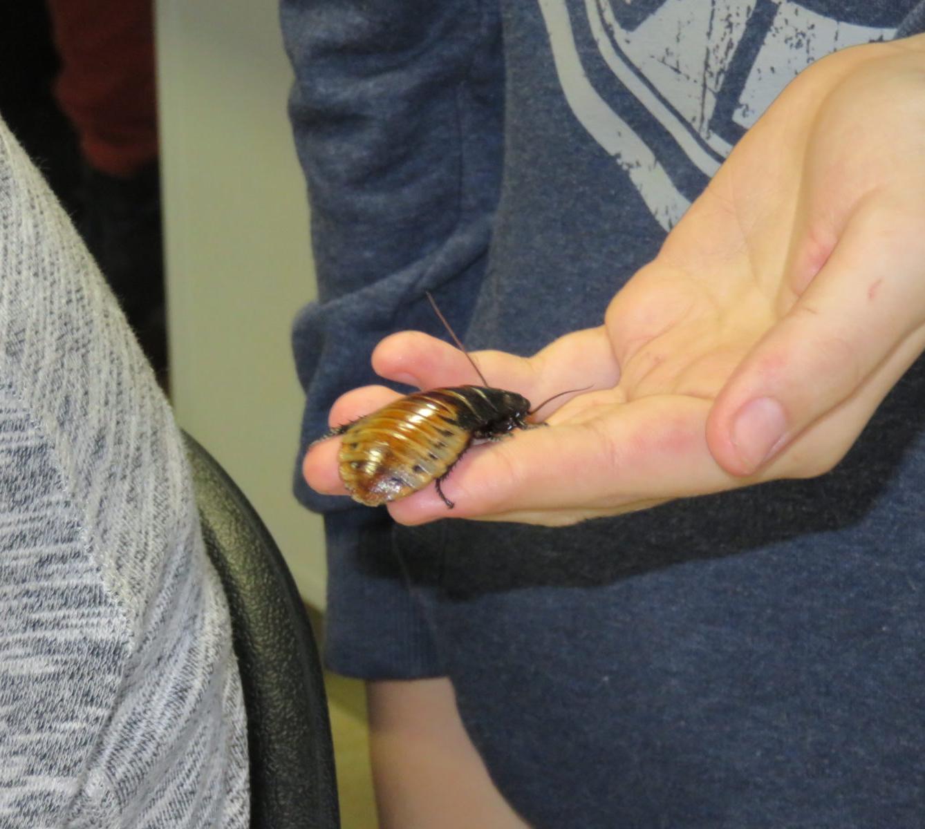 Klub zábavné logiky a deskových her na Univerzitě Hradec Králové - 35