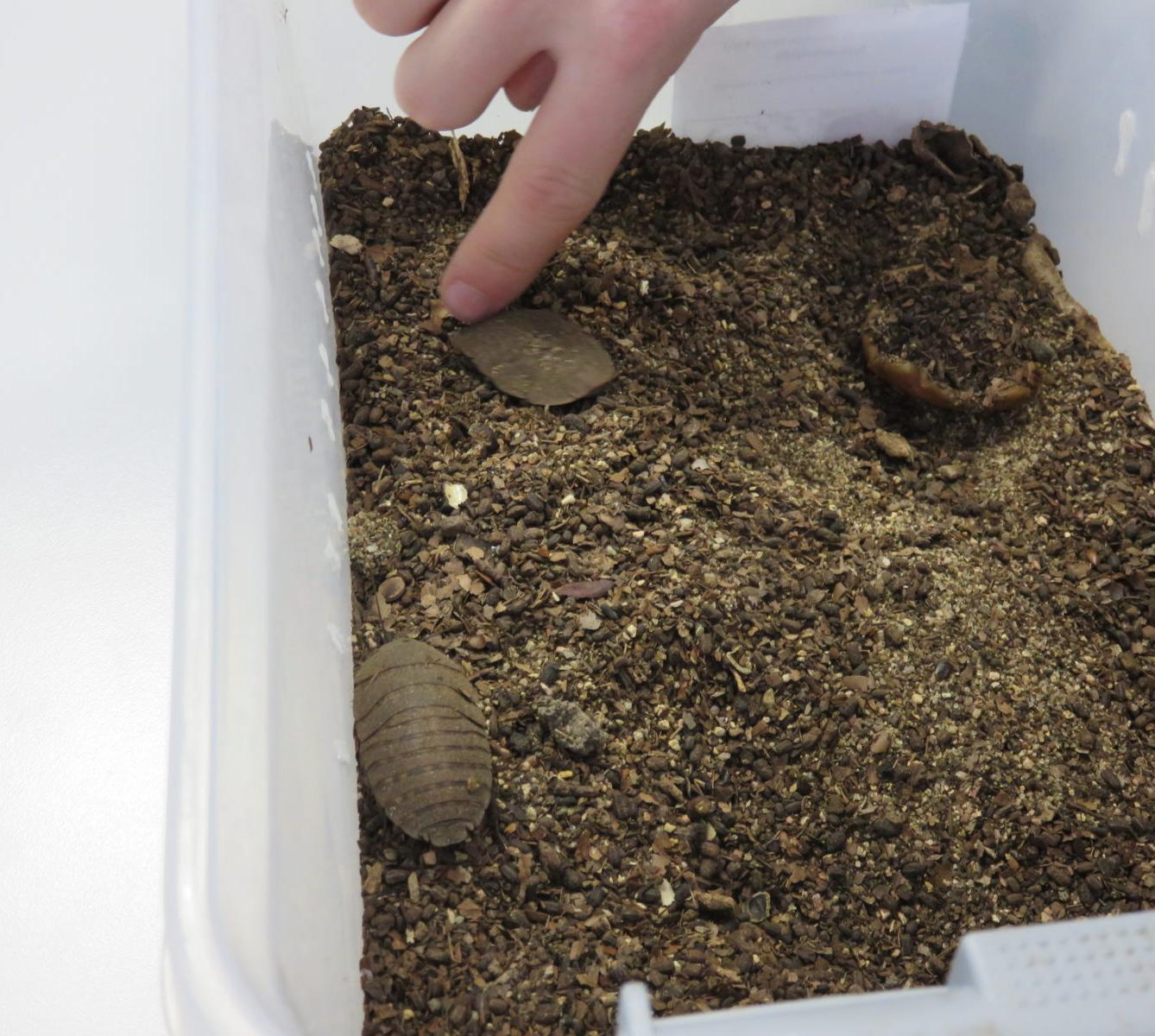 Klub zábavné logiky a deskových her na Univerzitě Hradec Králové - 36