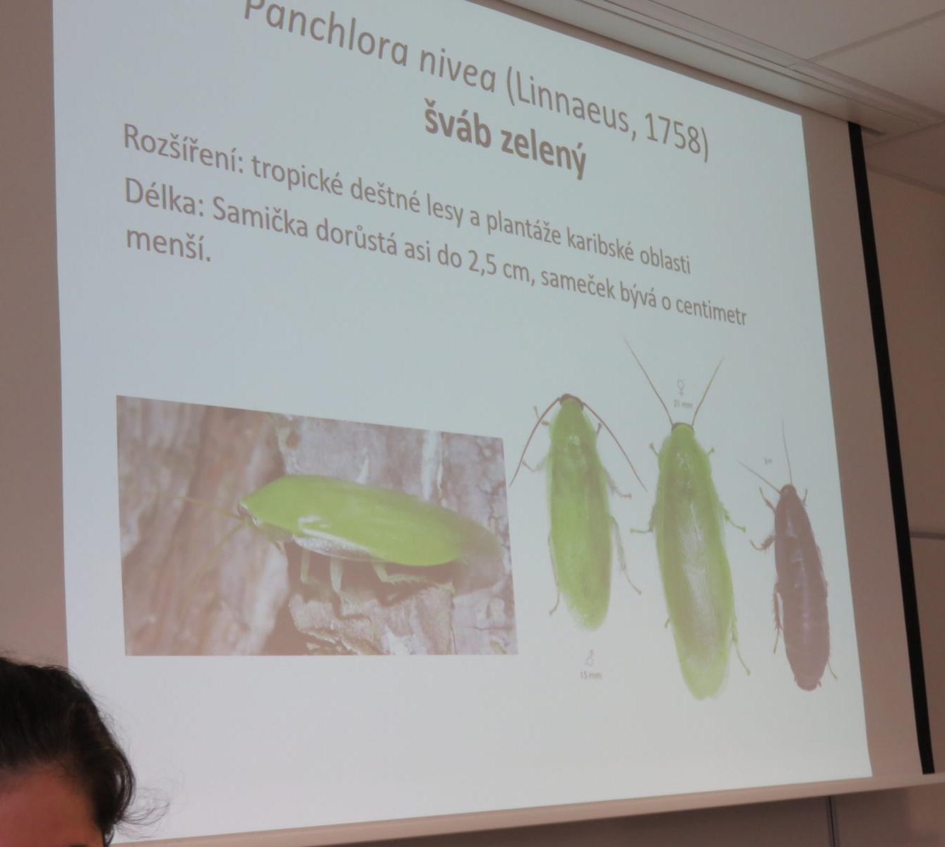 Klub zábavné logiky a deskových her na Univerzitě Hradec Králové - 37