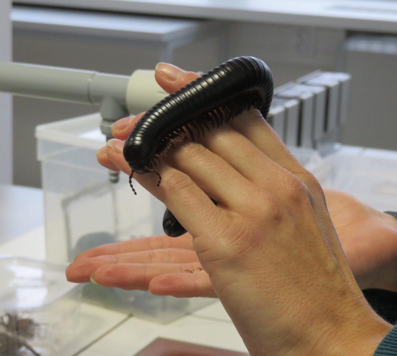 Klub zábavné logiky a deskových her na Univerzitě Hradec Králové - 45