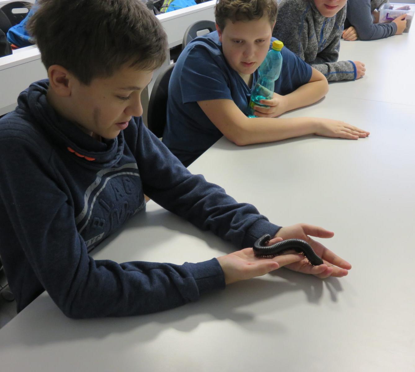 Klub zábavné logiky a deskových her na Univerzitě Hradec Králové - 46