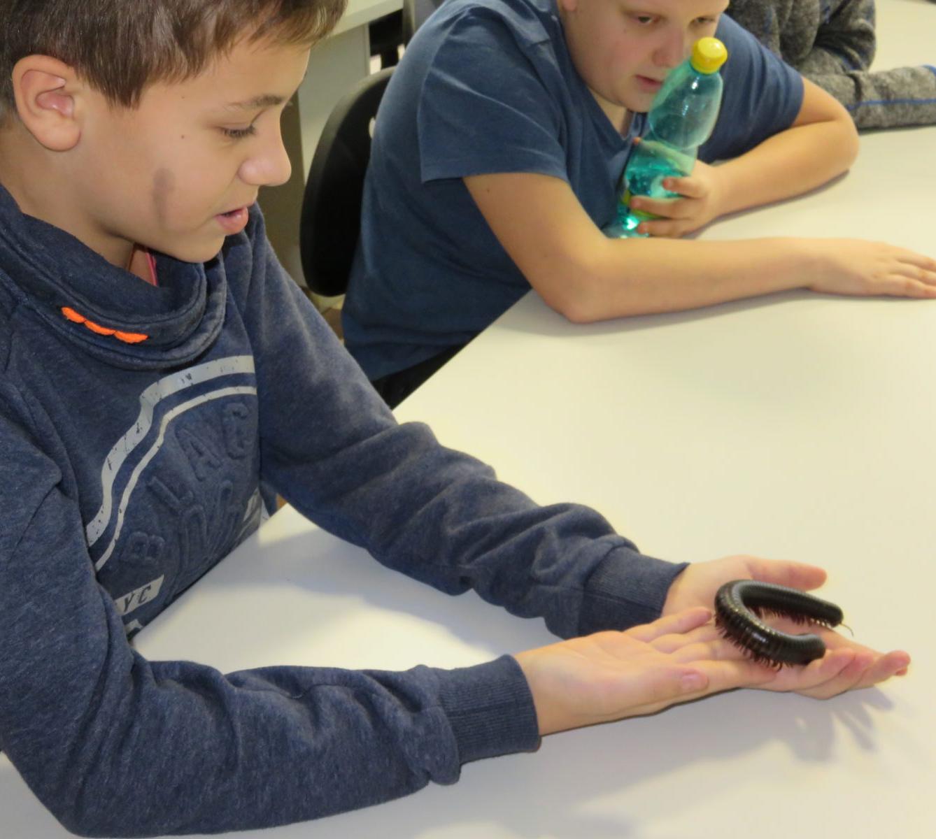 Klub zábavné logiky a deskových her na Univerzitě Hradec Králové - 47