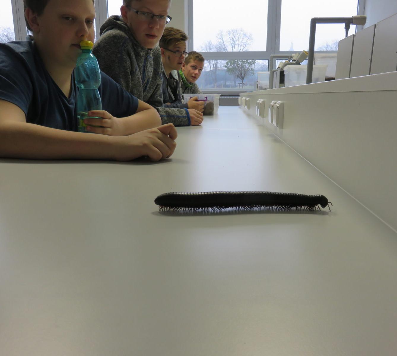 Klub zábavné logiky a deskových her na Univerzitě Hradec Králové - 48