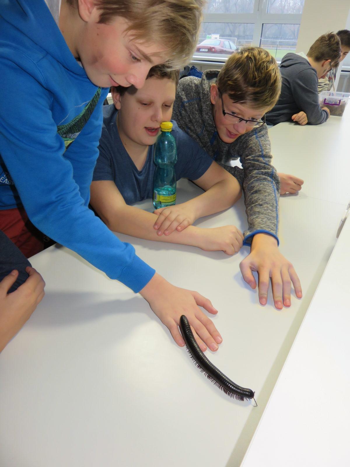 Klub zábavné logiky a deskových her na Univerzitě Hradec Králové - 50